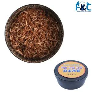 빙어구더기 빙어 덕이 먹이 미끼 낚시구더기