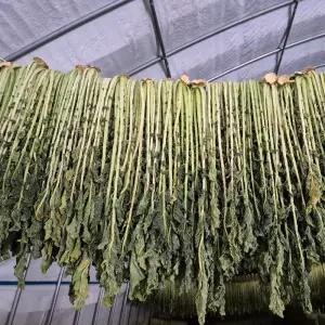 강원도 정선 무청 시래기 반건조시래기 1kg 자연건조