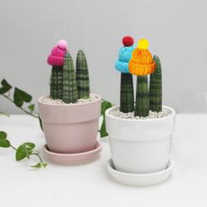 스투키 방울 모자 장식 화분 데코 장식용 털모자