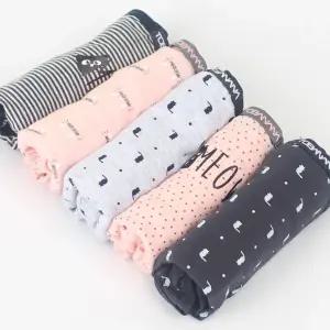 여성 주니어 학생 빅사이즈(85-105) 면스판 팬티 속옷 5매입 WB-5024