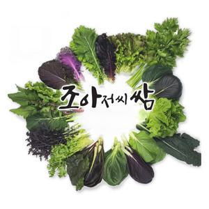 [조아쌈] GAP 인증 모듬쌈 쌈채소 샐러드 야채 상추 케일 로레인 겨자 외 10종 이상  500g 800g 1kg