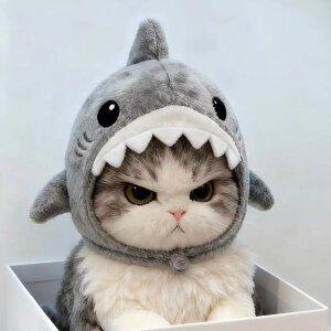 고양이 상어 헤드피스 귀여운 펫 모자 촬영 소품 인형 머리장식