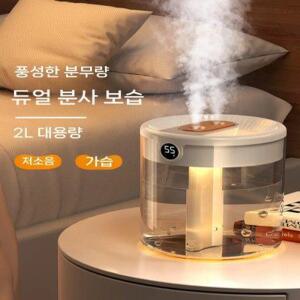 사무실 미니 듀얼 가습기 간편 세척 원룸 아기방 가습기 무드등 습도조절 2L물통