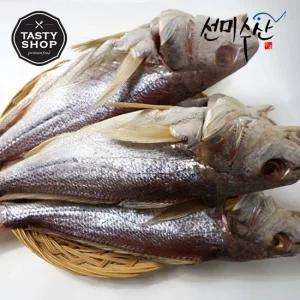 속초 중앙시장 맛집 반건조 냉동민어(대서양조기속) 36cm 3마리