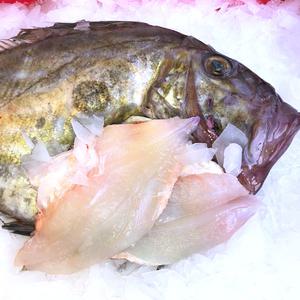 국내산 달고기 순살 필렛 700g 손질생선 달고기포 생선가스 이유식