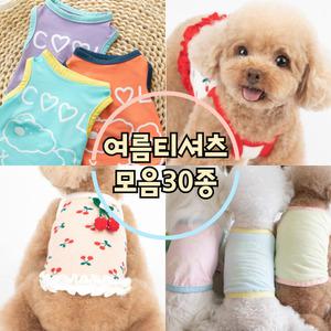 개꿀상회 가을 겨울 사계절 티셔츠 후드티 맨투맨 모음 데일리 티셔츠