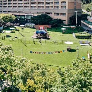 소노펫 비발디파크 (구, 대명리조트 대명콘도 비발디 홍천 스키월드 오션월드 국내리조트 홍천콘도)