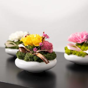 카네이션 조화 화분 영원한사랑set 12cm 4컬러 꽃 어버이날 스승의날 테이블 장식 감사 선물 행사 소품
