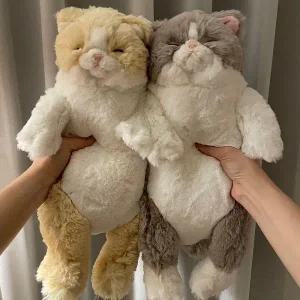 무릎인형 잠자는 쓰야쓰야 고양이