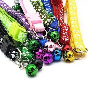 방울 소형견목줄 애견 강아지