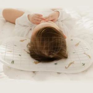 벨몽 비밀 투에어홀 순면메쉬 신생아 짱구베개 두상관리 아기베개 49,000원