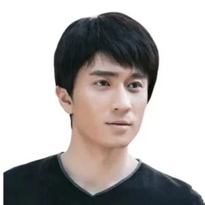 짧 중년 스타일 남성 플랫 시이션 자연 머리 오토바이부품 가발 헤어 있는 인기