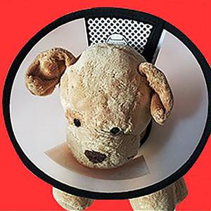 엘리자베스 넥카라 (3호/4호/5호/6호/7호) 벨크로 강아지 고양이 목보호대