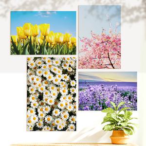 예쁜 힐링 풍수 인테리어 장미 데이지 튤립 꽃그림 모음 북유럽감성 식물액자