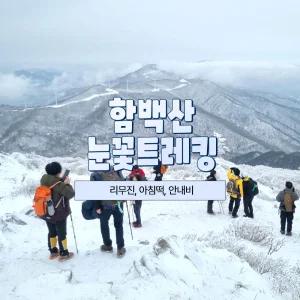 [리무진] 강원 태백 함백산 눈꽃 트래킹 당일여행