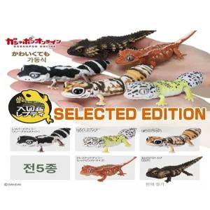 조이앨빈 도마뱀피규어 크레스티드 게코 도마뱀 관절