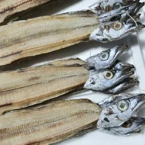 반건조 건갈치 1kg 9미 내외