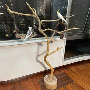 앵무새 횟대 나뭇가지 조류 스탠다드 새장 모란새 대형새장 모이통 스텐 앵무새이동장