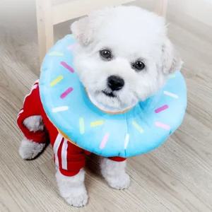 애견 블루 강아지 고양이 M 쿠션넥 카라 강아지목 견목