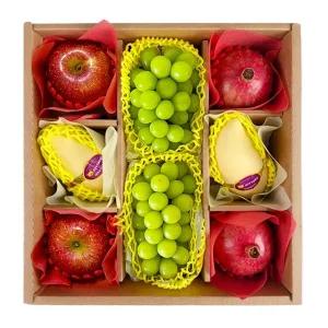 도담 프리미엄 4종 과일선물세트 2호(사과+샤인머스켓+골드망고+석류)