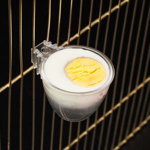 2GR 아크릴 에그홀더 앵무새 모이통 보충사료 계란컵 애완조 에그홀더