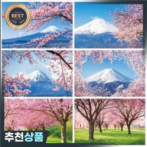 용수철 일본 후지산 장면 사진 배경 핑크 벚꽃 자연 풍경 배경 스튜디오
