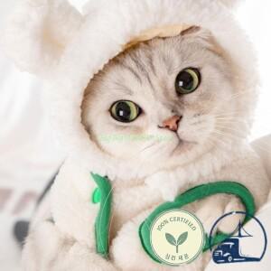 고양이개 24TE 애완 동물 할로윈 코스프레 모자 귀여운 곰 재미있는 사진