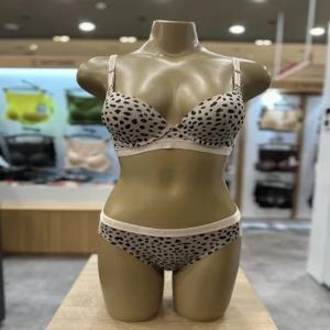 예스  FULL컵브라헴팬티세트Y602_YSWBY601YSWPY602SG