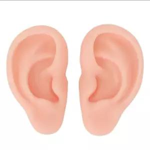 귀모형 양쪽세트 피연습용 인조귀 교육용 실리콘 가짜귀 실리콘귀 세트 오른쪽 양쪽 연습도구 왼쪽 침뜸연습 귀걸이전시 귀마네킹