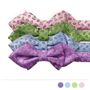 면 오피스룩 보타이 남성 리본 기본 면접 멋쟁이 (WFG0A1L)