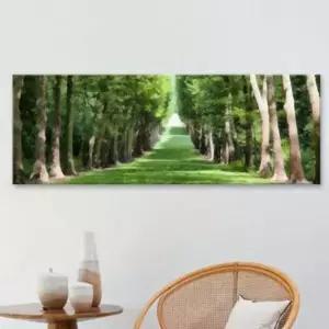 꾸밈 ct770-초록숲길따라 대형노프레임