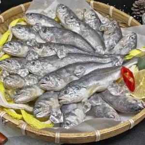 국내산 참굴비 조기 60미 3kg 내외