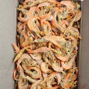 [바다찬미]가락시장직송 국내산 최상급 햇 국물새우 1.5kg 중하새우 중화새우 국물용 건새우