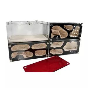 개미 키우기 사육장 동굴 관찰 석고 둥지 앤트 하우스