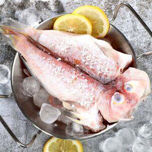 [제철진미] 제주 명품 굴비,옥돔 세트 2호(제주 굴비 800g 1줄 10미+반건조 옥돔 230g 3팩)