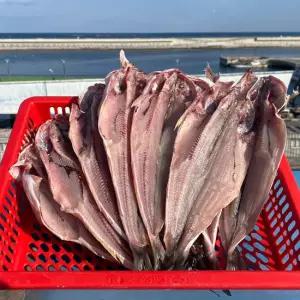 [연자매수산] 쫀득쫀득 국내산 반건조임연수 500g내외(4~6미) x 4세트