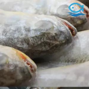 도매 봉화 냉동조기 42미 3.6kg 1박스 조기 매운탕 구이 찌개 참조기