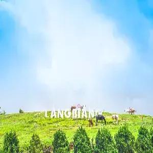 [출발확정] 나트랑/달랏 5일 #구름위의 힐링여행 #나트랑1박 오션뷰 #랑비엔고원SUV #플라워하이랜드 #다딴라폭포 #달랏야시장 #1일1간식 #달랏핵심관광