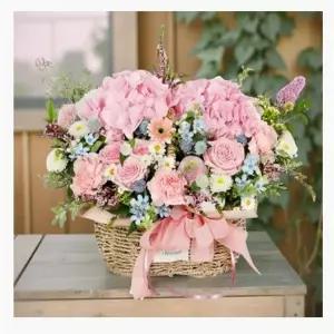 임신 축하꽃 프리저브드 드라이 플라워 보존화 혼합색상 꽃바구니