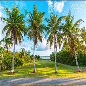 [전세기/홈쇼핑에디션/다색골프/저녁출발]사이판 골프 5일#코럴오션리조트 # 27홀x3회#COR CC, 라오라오 EAST/WEST코스 #조/석식포함