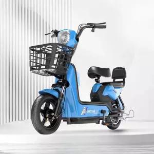 전기자전거 어른 세발자전거 성인용 스쿠터 여성 48V