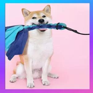 [골드스마일]강아지 장난감 터그놀이 우드스틱 터그폴