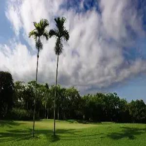 [청주출발]하이난[삼아] 골프 6일 #다색골프 #18홀X4회 #미스틱/강락원온천CC #4성급호텔