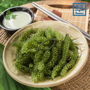 [훈훈후산] 바다포도 깨끗한 바다에서 자란 우미부도