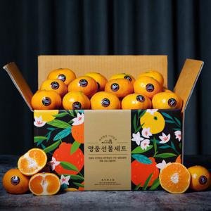 (신선집중) 새코롬 감귤 블랙라벨 초고당도 가정용 타이백감귤 4.5kg 중대과 12Brix 이상