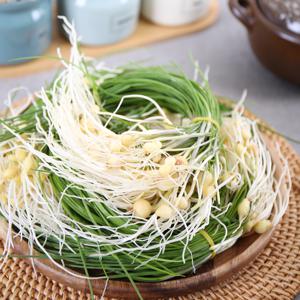 [산지직송] 서산 세척 달래