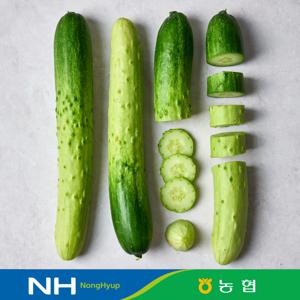 [동김제농협] 백다다기 못난이 오이 2kg 10개 내외 특품 취청오이 청오이