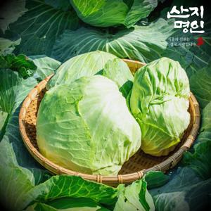 [산지명인] 전남 무안 황토 통양배추 5kg 중대혼합 2-3통
