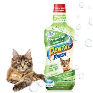 시너지랩 덴탈 후레쉬 캣 오리지널 고양이 구강 청결제 237ml