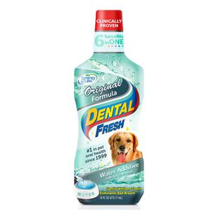 시너지랩 덴탈 후레쉬 도그 오리지널 503ml 강아지 구강청결제